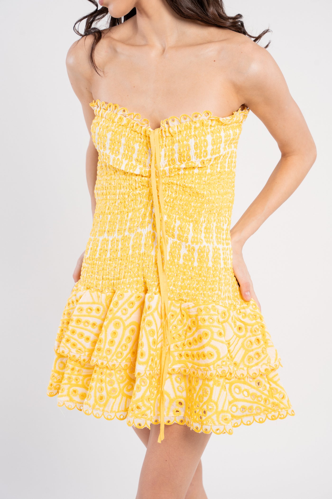 ISABEAU MINI DRESS
