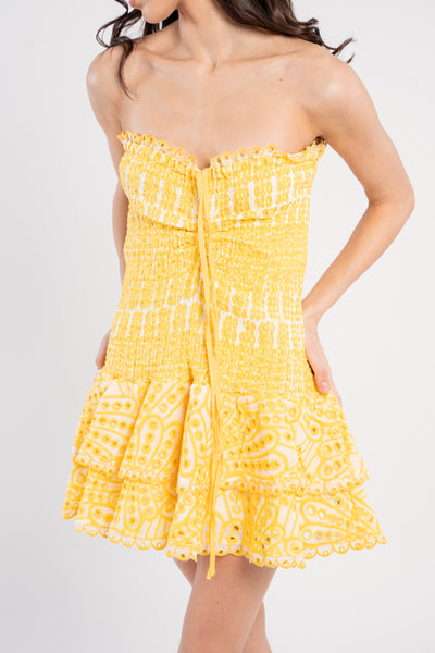 ISABEAU MINI DRESS